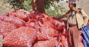 प्याज ढुवानीका लागि गाउँपालिकाले दियो अनुदान