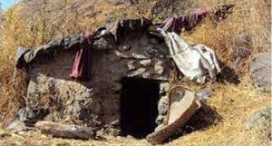 महिनावारी भएपछि गोठमा सुत्न गएकी युवतीको सर्पले डसेर मृत्यु